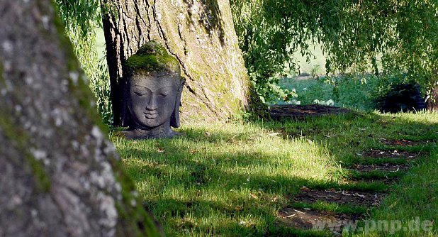 Auch das Zen-Zentrum in Eisenbuch bei Erlbach wird am 25. Juni wieder mit dabei sein beim "Tag der offenen Gartentür". − Foto: Stummer