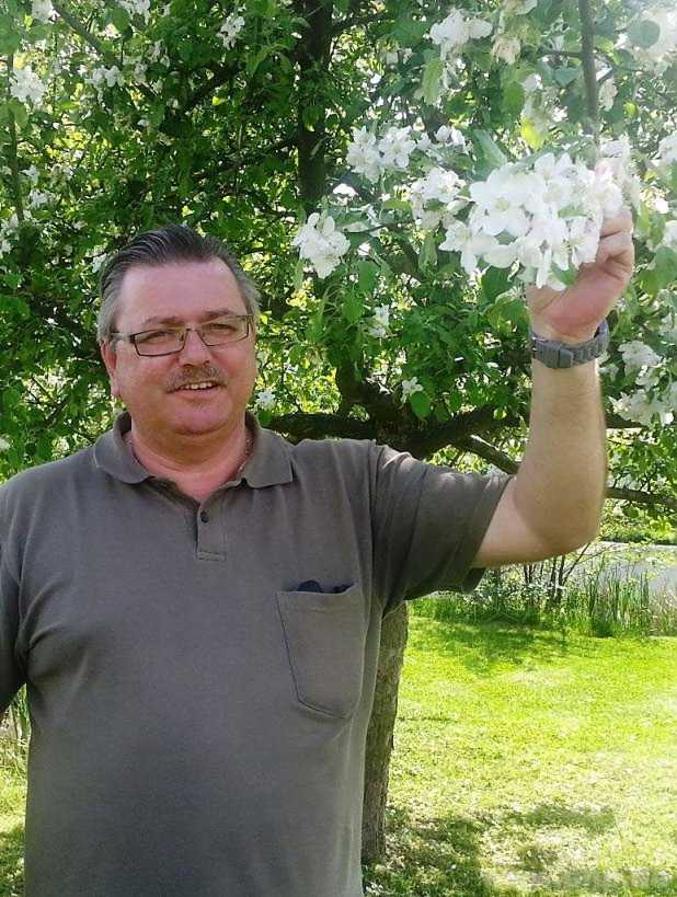 Die letzten Sorten, wie hier der Apfel "Gloster", stehen nun in voller Blüte, zeigt Vorsitzender Lothar Liebwein.  − Foto: ANA
