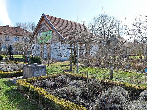 Der Vereinsgarten mit Gartenhaus: Im Vordergrund ist der Rosengarten zu sehen, dahinter die Spalier-Apfelbäume. − Foto: Spielhofer