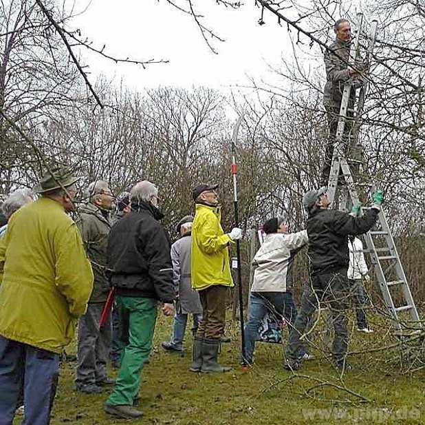 Nicht nur Theorie wurde bei den Gartentagen vermittelt. Im Obstlehrgarten konnten sich die Teilnehmer auch ganz praktisch am richtigen Baumschnitt versuchen.  − Foto: ANA