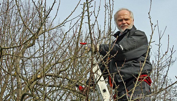 "Baumschnitt braucht nur etwas Übung", ist Clemens Jobst, Kreisfachberater für Gartenkultur und Landespflege, überzeugt. − Foto: Stummer