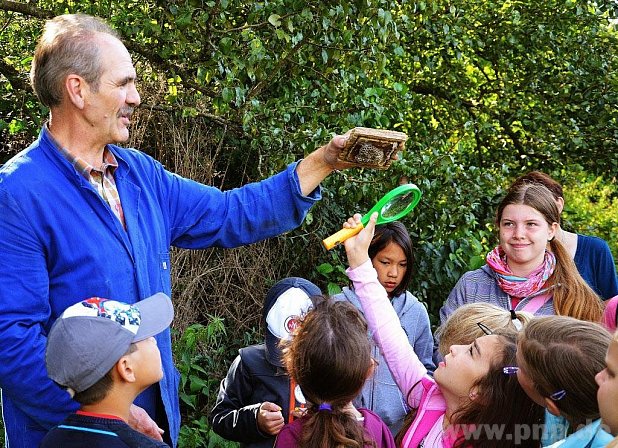 Michael Müller zeigt hier den Kindern ein Wildbienennest unter einer Holzplatte. − Foto: Griebl